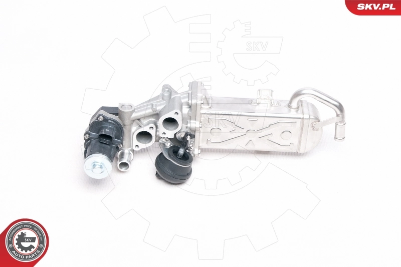 EGR Valve